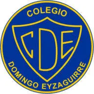 Colegiodomingoeyzaguirre.cl Favicon