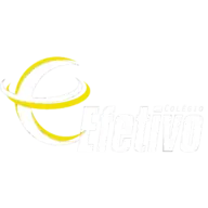 Colegioefetivo.com.br Favicon