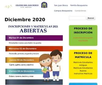 Colegiosanjuanbosco.com.co(Colegio San Juan Bosco) Screenshot