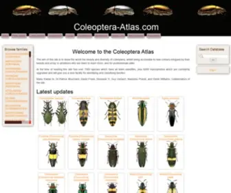 Coleoptera-Atlas.com(Coleoptera Atlas) Screenshot