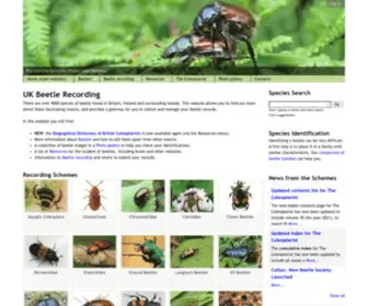 Coleoptera.org.uk(UK Beetle Recording) Screenshot
