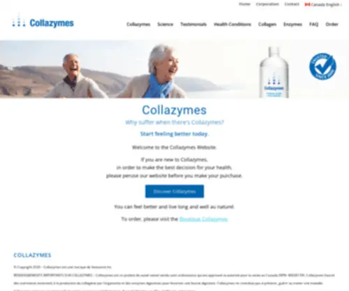 Collazymes.com(Small business web hosting offering additional business services such as) Screenshot