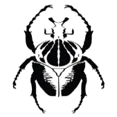 Collectionneurdinsectes.com Logo