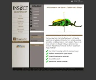 Collectionneurdinsectes.com(Collectionneur d'insectes) Screenshot