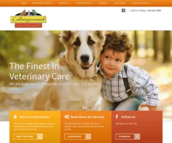 Collingswoodanimalhospital.com(Collingswoodanimalhospital) Screenshot