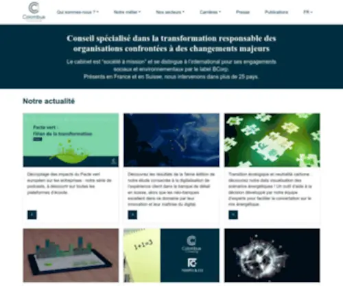 Colombus-Consulting.com(Colombus Consulting) Screenshot