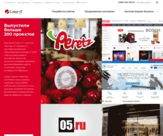 Color-IT.ru(Создание и продвижение сайтов в Махачкале) Screenshot