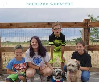 Coloradowheatens.com(COLORADO WHEATENS) Screenshot