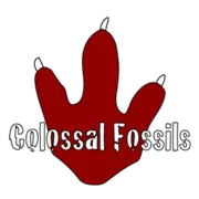 Colossalfossils.com Logo