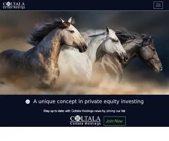 Coltala.com(Diversified Holding Company) Screenshot