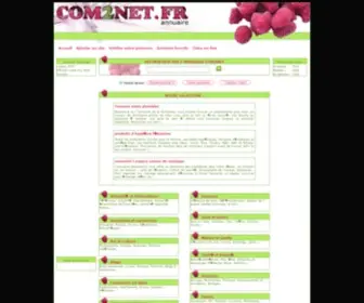 Com2Net.fr(Annuaire gratuit COM2NET) Screenshot