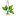 Commonsensehome.com Favicon