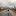 Communityasidentity.com Favicon