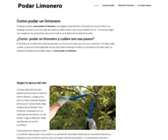 Comopodarlimonero.com(comopodarlimonero) Screenshot