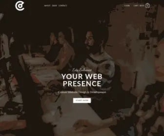 Companychicago.com(Website Design & Development) Screenshot