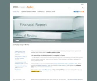 Companyinturkey.com(Setup a company in Turkey) Screenshot