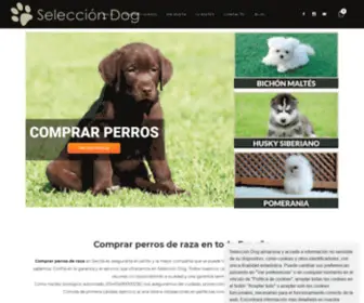 Comprarperrosderaza.es(Tu Criadero para Comprar Perros de Raza) Screenshot