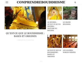 Comprendrebouddhisme.com(Méditation) Screenshot