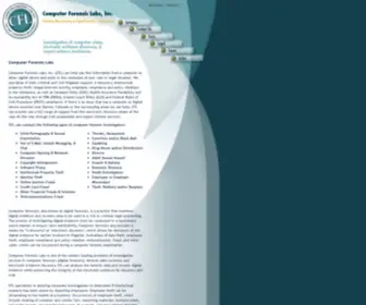 Computerforensiclabsinc.com(Computer Forensic Labs) Screenshot