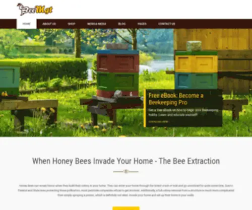 Comtecenterprise.com(How to Deal with A Bees Nest and Bee Swarms) Screenshot