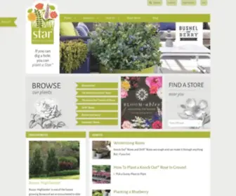 Conard-Pyle.com(Star® Roses and Plants) Screenshot