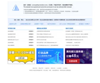 Concepttopromotion.com(域名是企业重要的资产) Screenshot