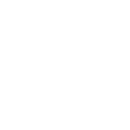 Concezioniste.it Favicon