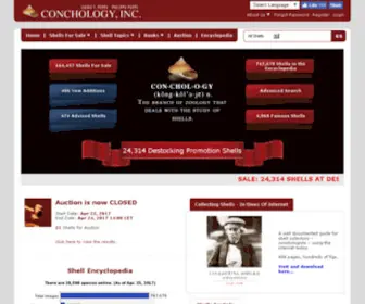 Conchology.be(Shells For Sale) Screenshot