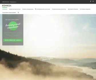 Concol.ru(Консалтинговая) Screenshot