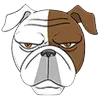 Concretejunglestudio.com Favicon