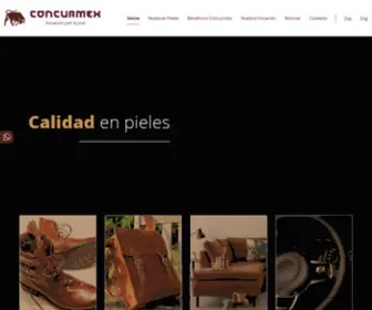 Concurmex.com(Concurmex es calidad en pieles curtidas) Screenshot