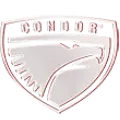 Condor-Ural.ru Favicon