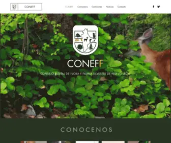 Coneff.com.mx(Coneff1) Screenshot