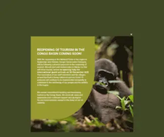 Congoconservation.travel(Congo Conservation Company) Screenshot