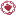 Congregacion-Aci.org Favicon