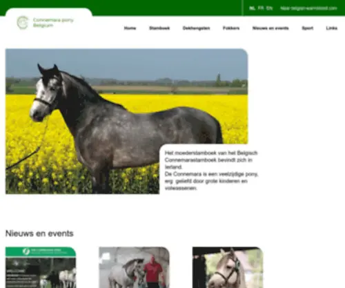 Connemaraponybelgium.be(Belgian Warmblood) Screenshot