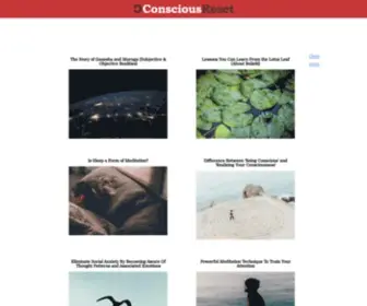 Consciousreset.com(Reset Your Mind) Screenshot