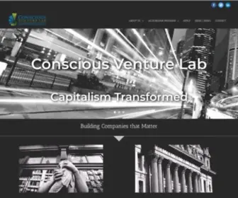 Consciousventurelab.com(The Accelerator of the David B) Screenshot