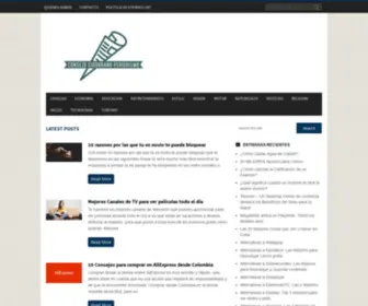 Consejociudadano-Periodismo.org(Periodismo del Consejo Ciudadano) Screenshot