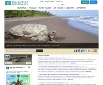 Conserveturtles.org(Helping Sea Turtles Survive Since 1959) Screenshot