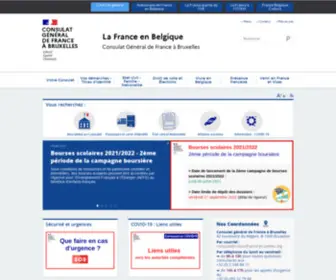Consulfrance-Bruxelles.org(Démarches administratives) Screenshot