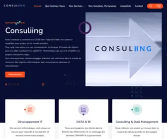 Consuliing.com(Leader) Screenshot