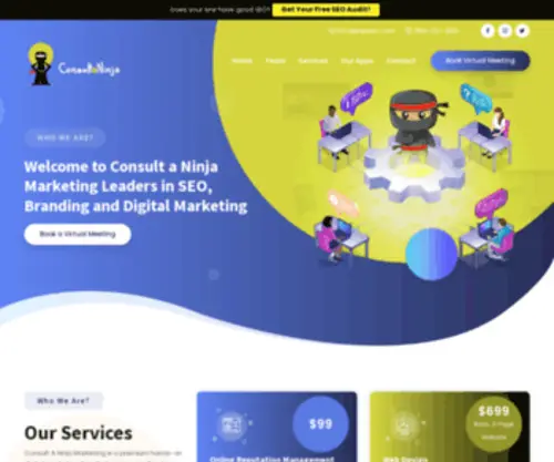 Consultaninja.com(Consult A Ninja Marketing) Screenshot