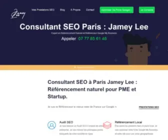 Consultante-Seo.paris(Consultant SEO Paris) Screenshot