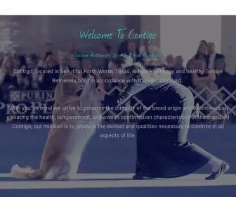 Contigogoldens.com(Contigo) Screenshot