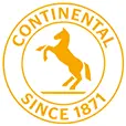 Continental-Safety-Engineering.com Logo