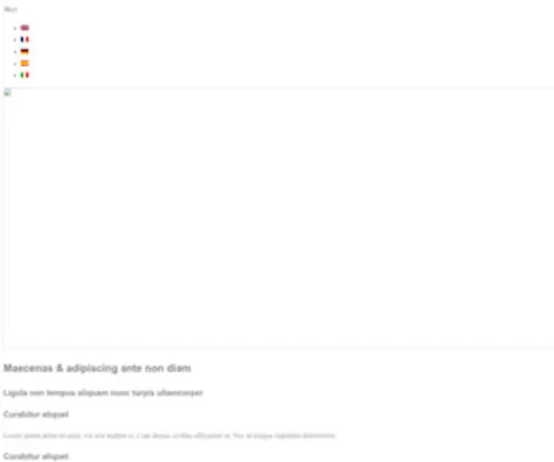 Continuumww.com(Continuum Security Solutions) Screenshot
