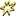 Controle-DE-Gestion.com Favicon