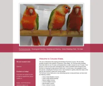 Conures-Wales.co.uk(Pyrrhura Conures) Screenshot