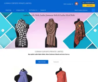 Conwayexp.com(CONWAY EXPORTS PRIVATE LIMITED) Screenshot